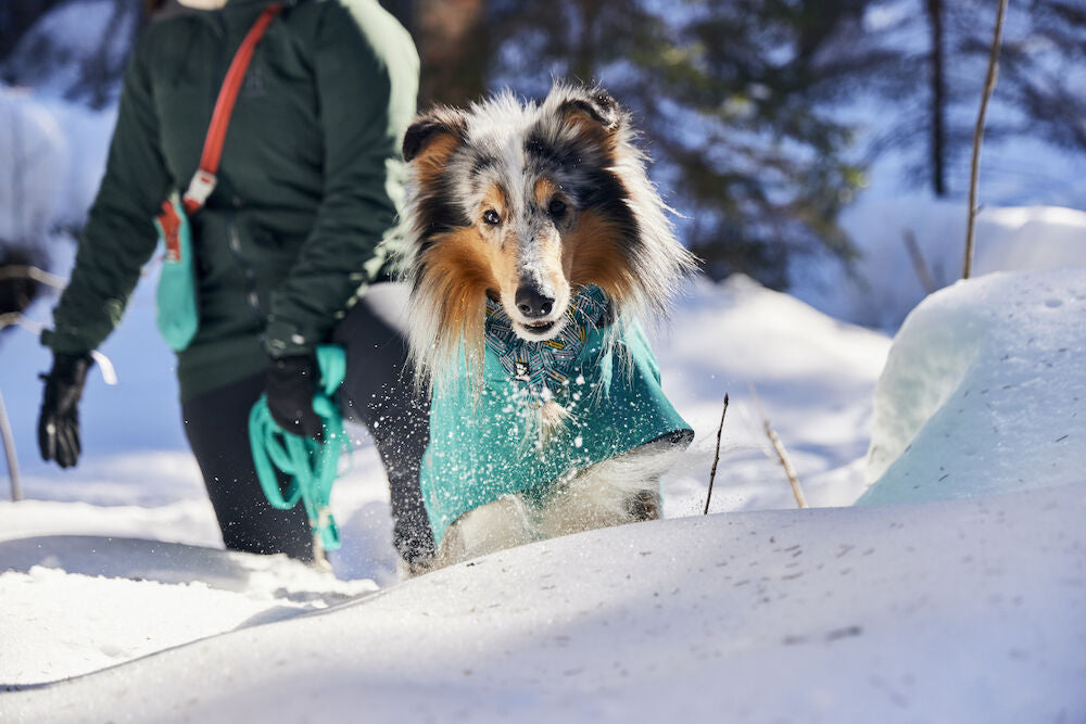 Abrigo Monsoon II ECO