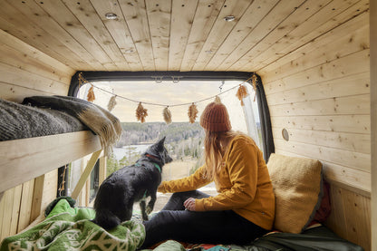 Arnés Casual Y ECO – Peacock