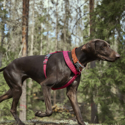 Arnés Casual Y ECO – Ruby