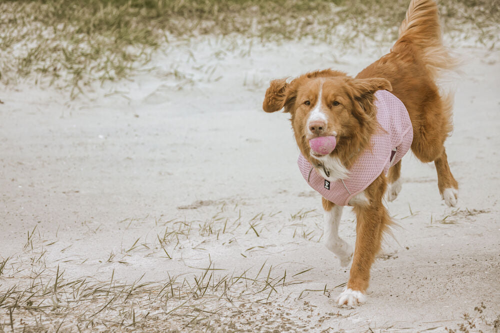 Chaleco Refrigerante - Cooling Wrap