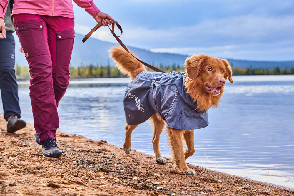 Abrigo Monsoon II ECO