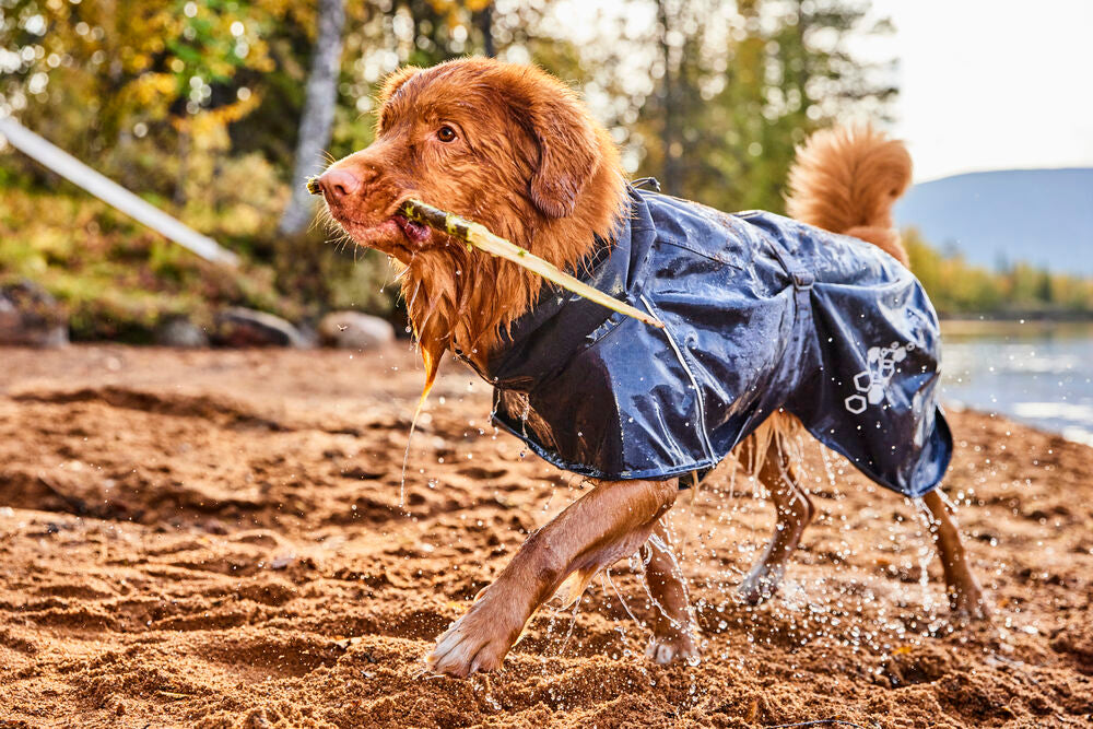 Abrigo Monsoon II ECO