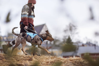 Arnés Safeguard ECO – Ocean