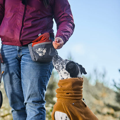 Treat Pocket ECO – Blackberry