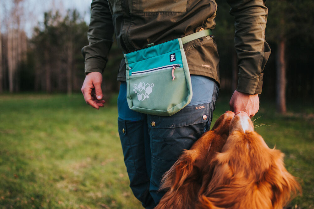 Treat Pocket ECO – Peacock