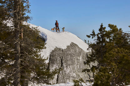 Arnés Weekend Warrior  II ECO – Peacock