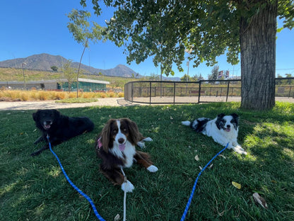 Paseo Grupal – 1 hora
