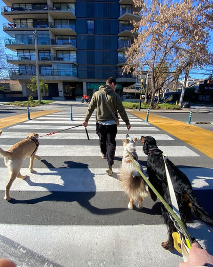 Paseo Grupal – 1 hora