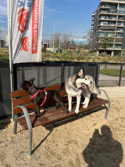 Paseo Grupal – 1 hora