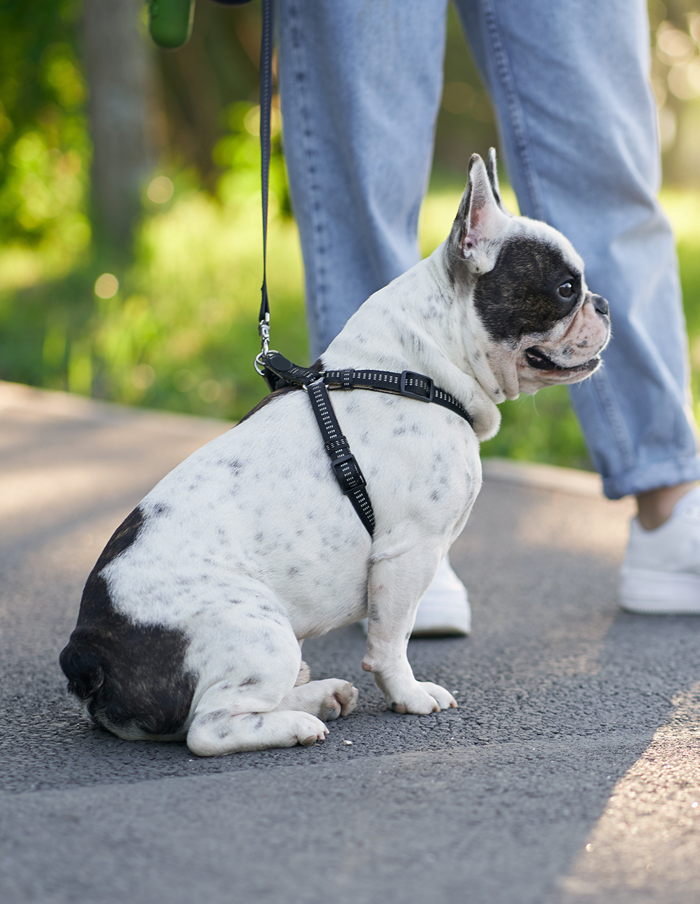 Paseo Individual - 1 hora